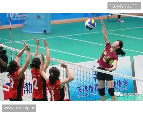 排球盛宴：深入解析上海排球队的战术与技术之美